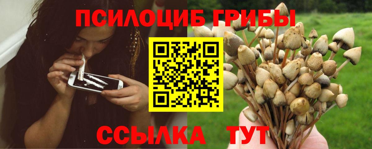 Псилоцибиновые грибы прущие грибы Алексеевка